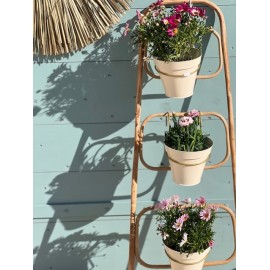 Echelle présentoir à plante
