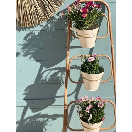 Echelle présentoir à plante