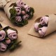 Roses et Eucalyptus Feutrine 100% naturelles