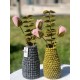 Roses et Eucalyptus Feutrine 100% naturelles