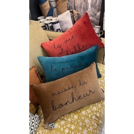 Coussins velours jolis Messages