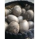 Handpainted papier mache eggs - Madam Stoltz