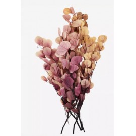 Bouquet fleurs de Pampa x 6 branches 65cm naturel, crème ou grises