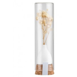Etuis en verre avec petit vase et fleurs séchées