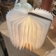 Lampe Livre lumineux bois noyer