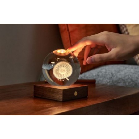 Lampe Livre lumineux bois noyer